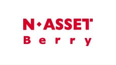 N-Asset Berry logo